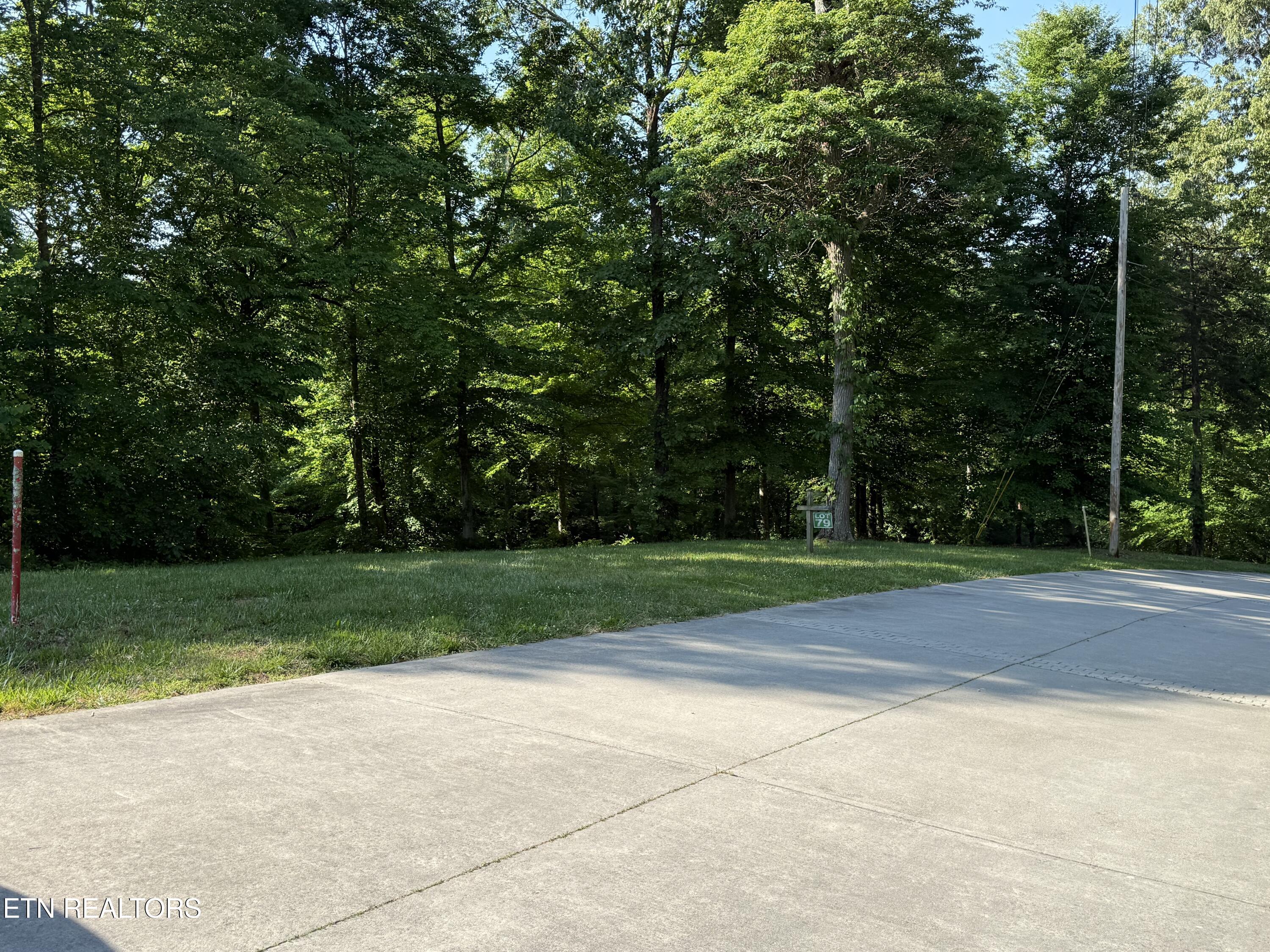 Lot 79 Pinnacle Pointe Way Sharps Chapel TN 37866