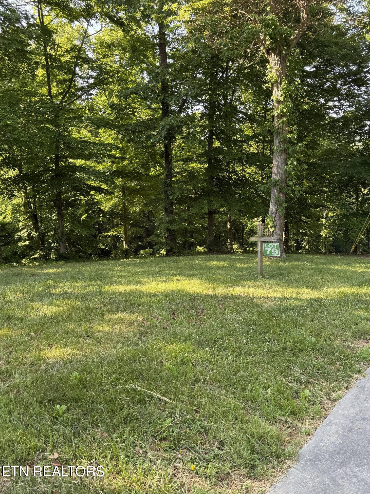Lot 79 Pinnacle Pointe Way Sharps Chapel TN 37866