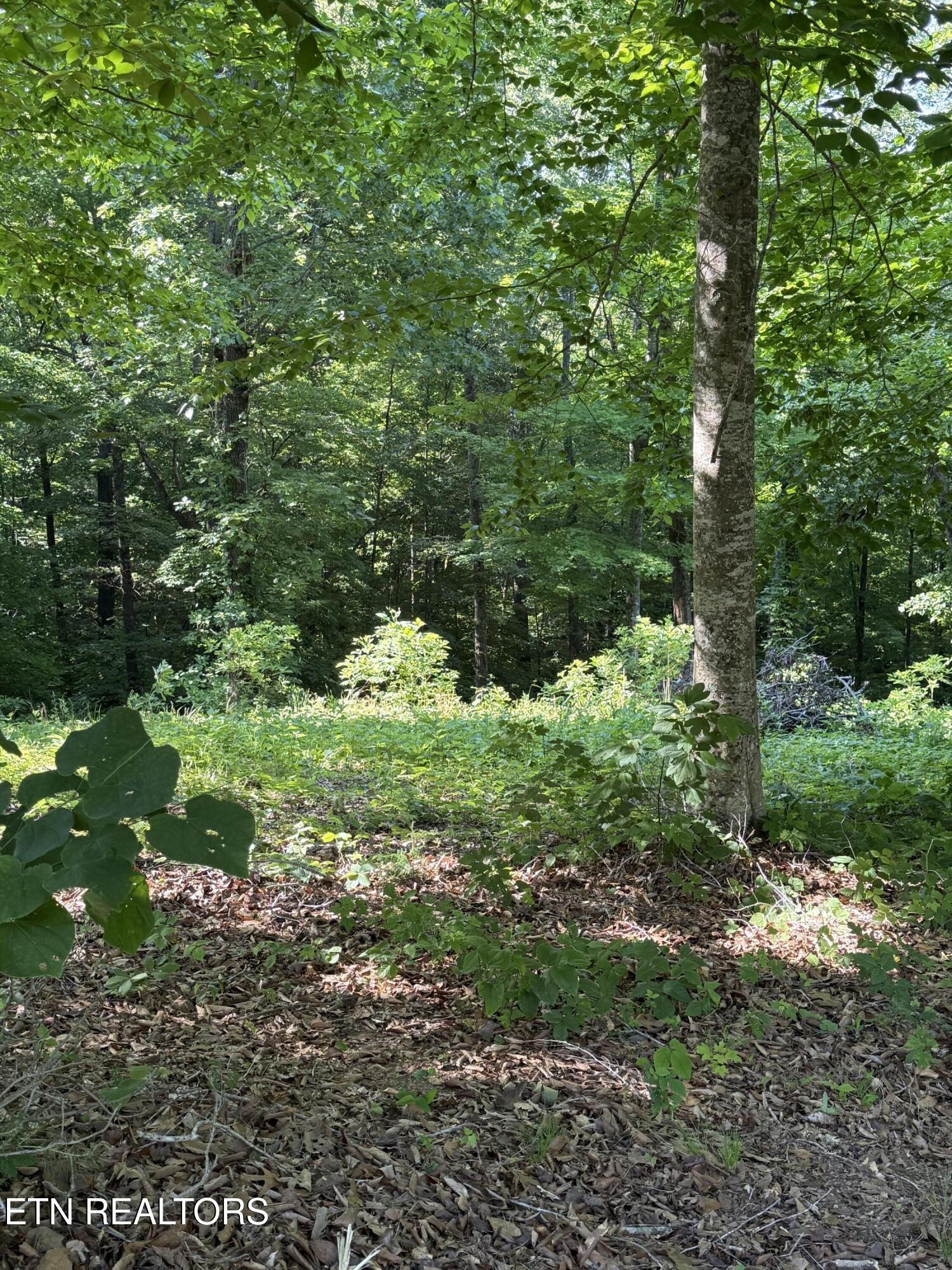 Lot 79 Pinnacle Pointe Way Sharps Chapel TN 37866