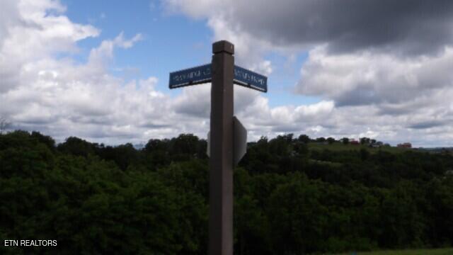 Lot 40c Swan Ridge Road Hilham TN 38568
