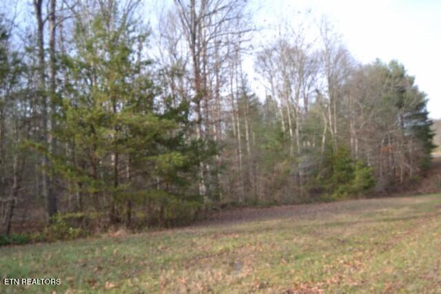 Lot 4 Shotgun Annie Road Jamestown TN 38556