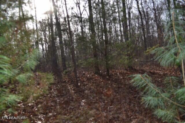 Lot 4 Shotgun Annie Road Jamestown TN 38556
