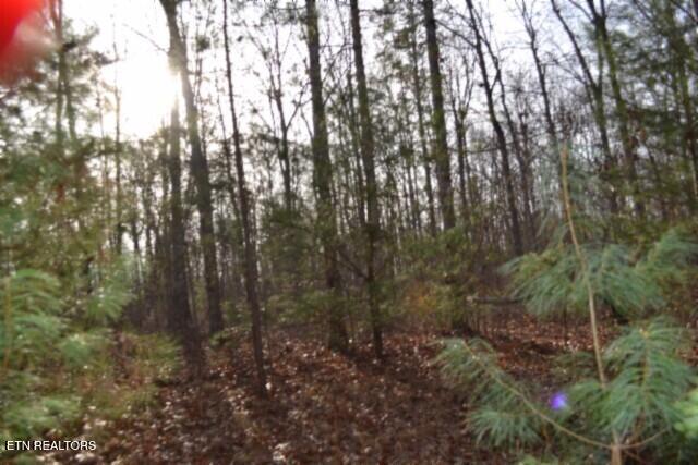 Lot 4 Shotgun Annie Road Jamestown TN 38556