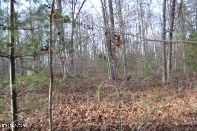 Lot 4 Shotgun Annie Road Jamestown TN 38556