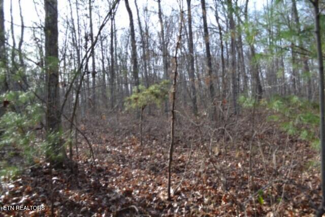 Lot 4 Shotgun Annie Road Jamestown TN 38556