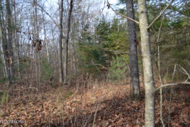 Lot 4 Shotgun Annie Road Jamestown TN 38556