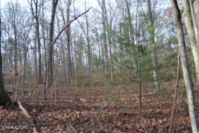 Lot 4 Shotgun Annie Road Jamestown TN 38556