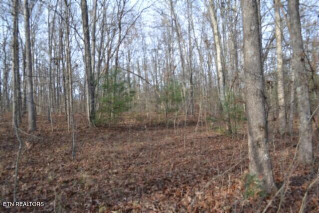 Lot 4 Shotgun Annie Road Jamestown TN 38556