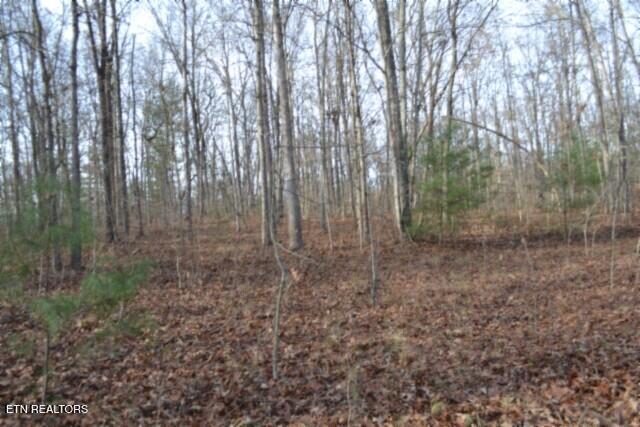 Lot 4 Shotgun Annie Road Jamestown TN 38556