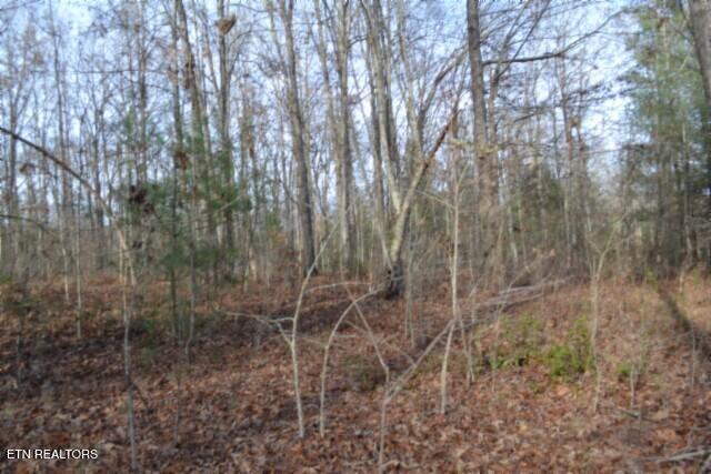 Lot 4 Shotgun Annie Road Jamestown TN 38556