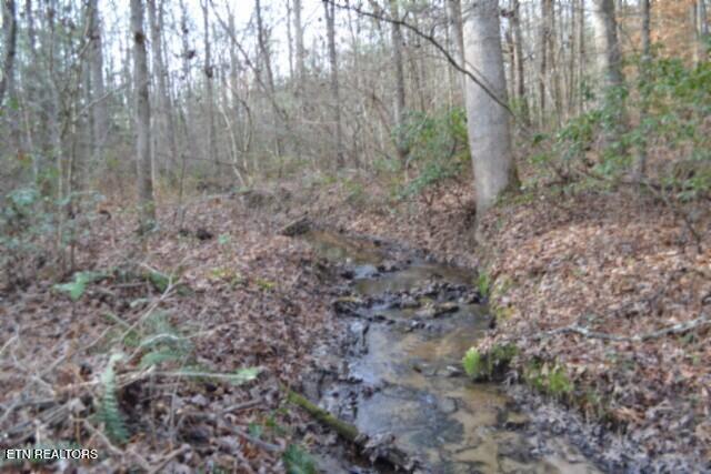 Lot 4 Shotgun Annie Road Jamestown TN 38556