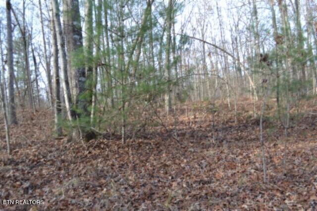 Lot 4 Shotgun Annie Road Jamestown TN 38556