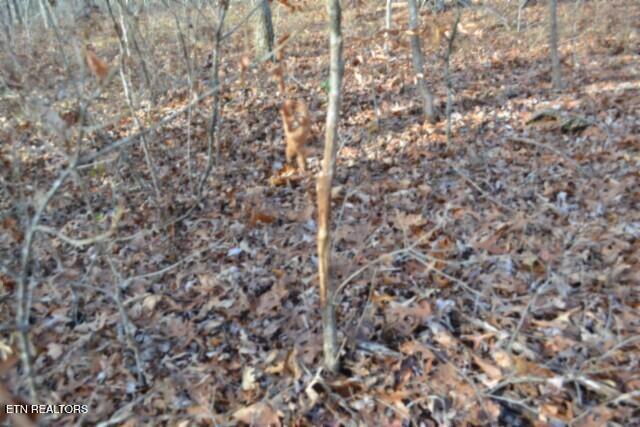 Lot 4 Shotgun Annie Road Jamestown TN 38556
