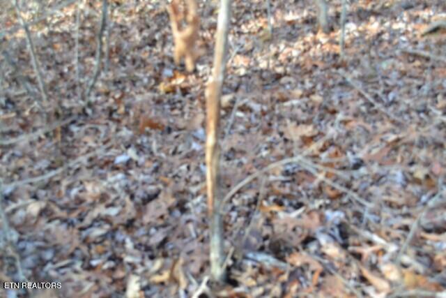 Lot 4 Shotgun Annie Road Jamestown TN 38556