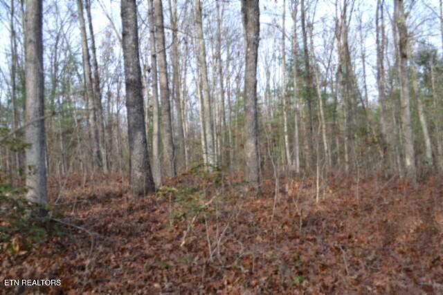 Lot 4 Shotgun Annie Road Jamestown TN 38556