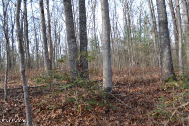 Lot 4 Shotgun Annie Road Jamestown TN 38556