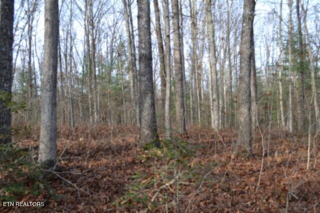 Lot 4 Shotgun Annie Road Jamestown TN 38556