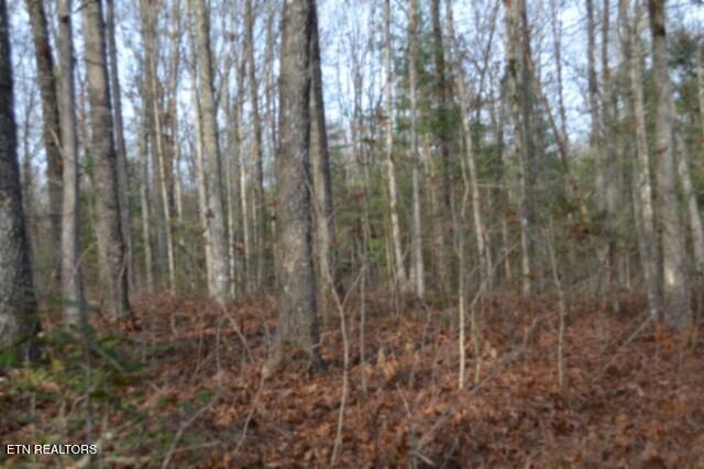Lot 4 Shotgun Annie Road Jamestown TN 38556