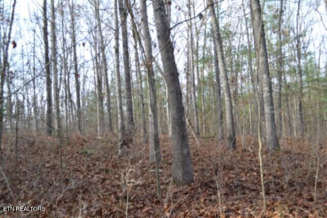 Lot 4 Shotgun Annie Road Jamestown TN 38556