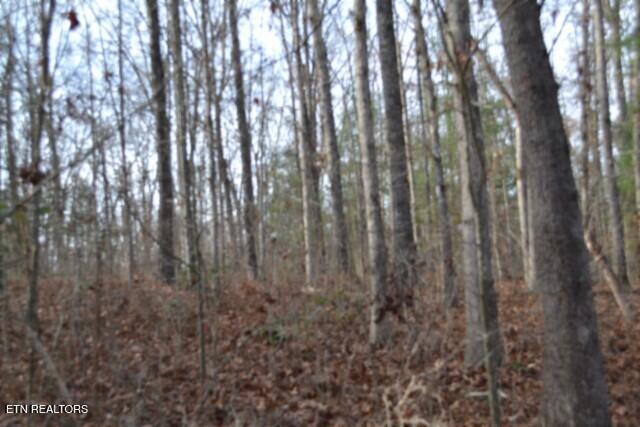 Lot 4 Shotgun Annie Road Jamestown TN 38556