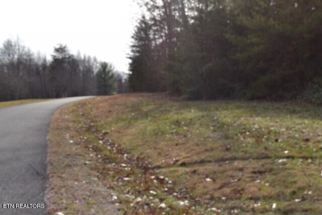 Lot 4 Shotgun Annie Road Jamestown TN 38556