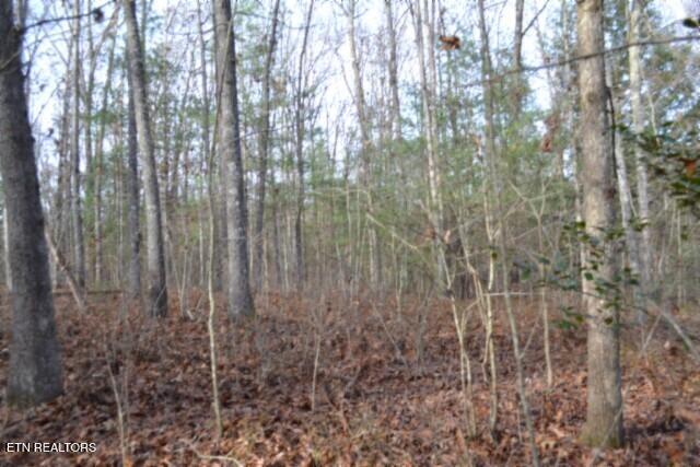 Lot 4 Shotgun Annie Road Jamestown TN 38556