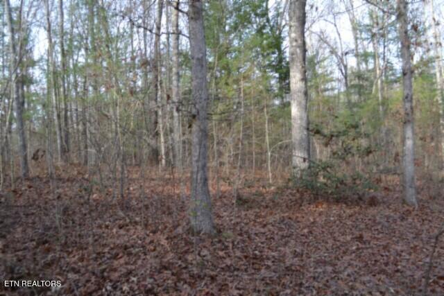 Lot 4 Shotgun Annie Road Jamestown TN 38556