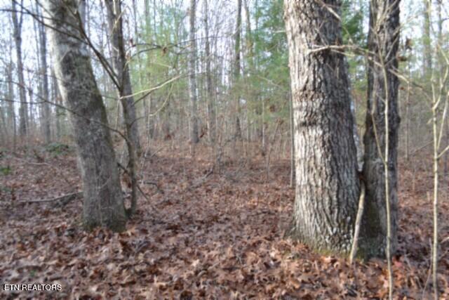 Lot 4 Shotgun Annie Road Jamestown TN 38556