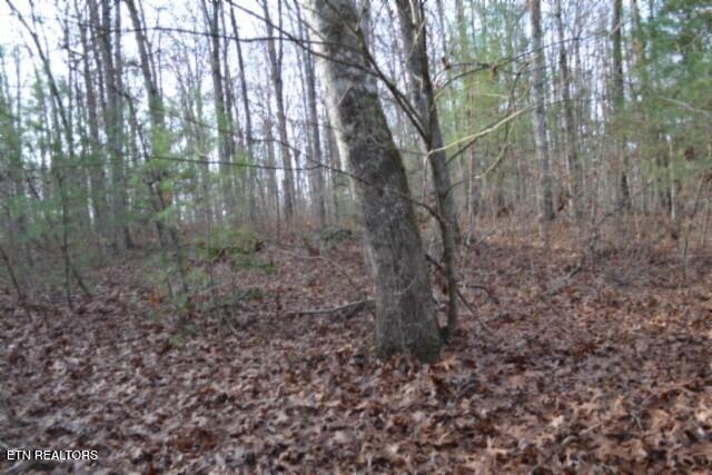 Lot 4 Shotgun Annie Road Jamestown TN 38556