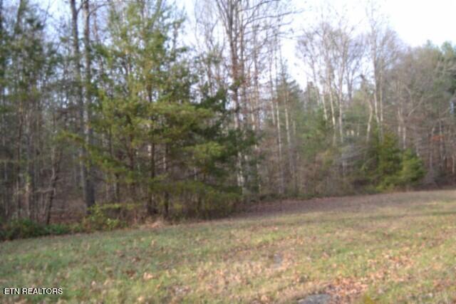 Lot 4 Shotgun Annie Road Jamestown TN 38556