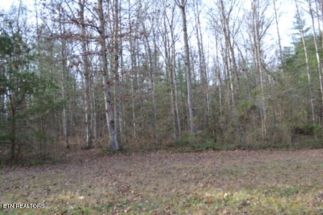 Lot 4 Shotgun Annie Road Jamestown TN 38556