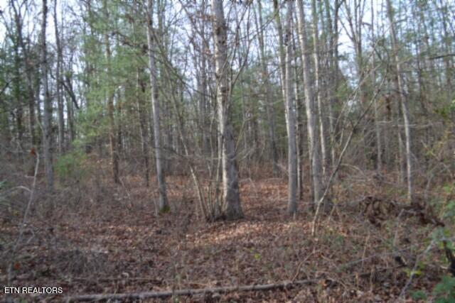 Lot 4 Shotgun Annie Road Jamestown TN 38556