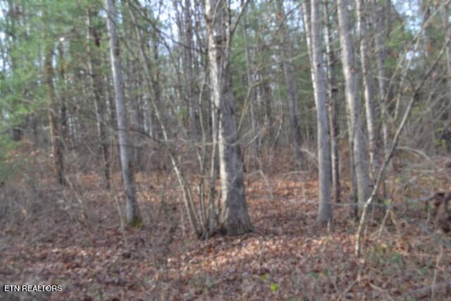 Lot 4 Shotgun Annie Road Jamestown TN 38556