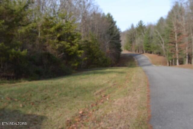 Lot 4 Shotgun Annie Road Jamestown TN 38556