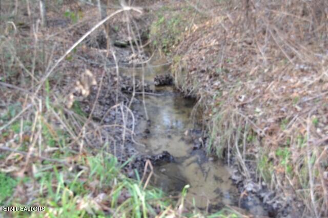 Lot 4 Shotgun Annie Road Jamestown TN 38556