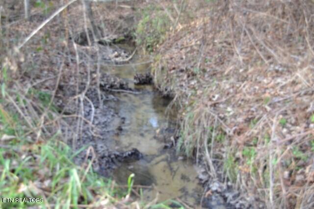Lot 4 Shotgun Annie Road Jamestown TN 38556