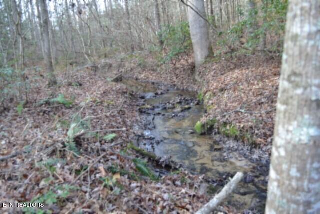 Lot 4 Shotgun Annie Road Jamestown TN 38556