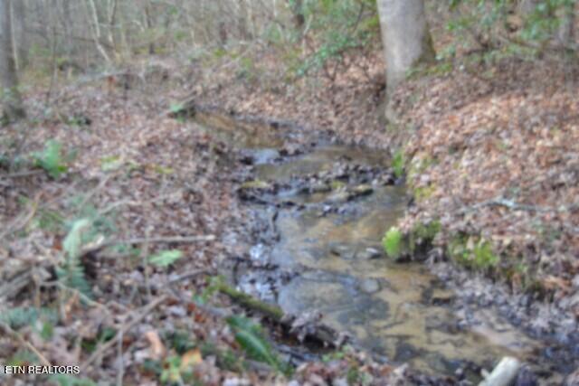 Lot 4 Shotgun Annie Road Jamestown TN 38556