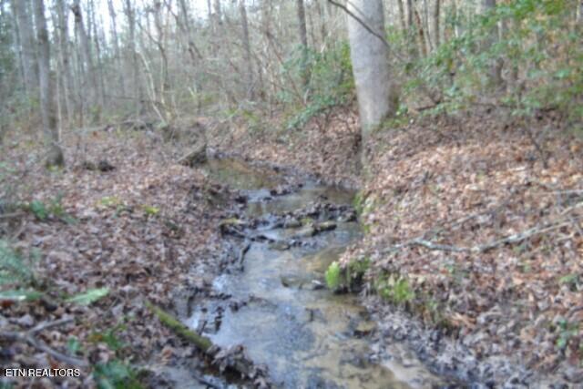 Lot 4 Shotgun Annie Road Jamestown TN 38556