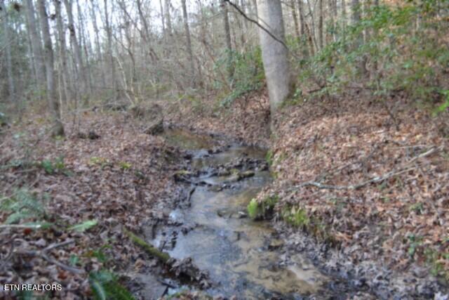 Lot 4 Shotgun Annie Road Jamestown TN 38556