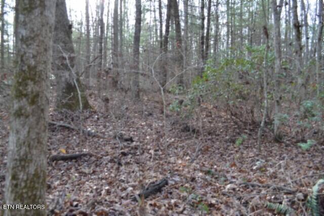 Lot 4 Shotgun Annie Road Jamestown TN 38556