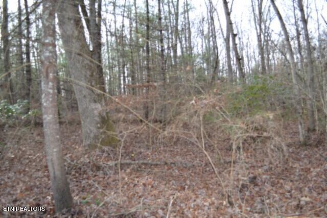 Lot 4 Shotgun Annie Road Jamestown TN 38556