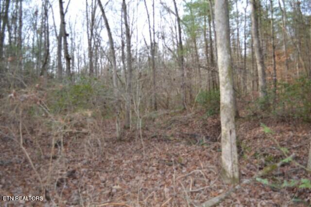 Lot 4 Shotgun Annie Road Jamestown TN 38556