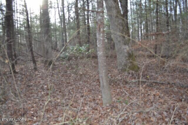 Lot 4 Shotgun Annie Road Jamestown TN 38556