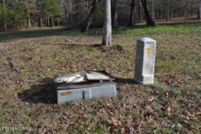 Lot 4 Shotgun Annie Road Jamestown TN 38556