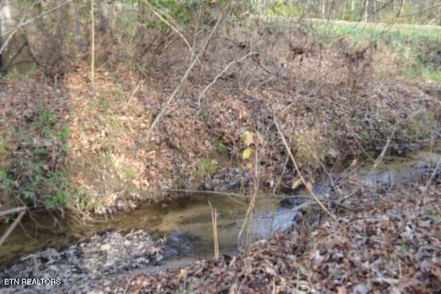 Lot 4 Shotgun Annie Road Jamestown TN 38556