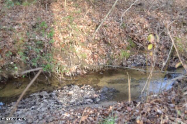 Lot 4 Shotgun Annie Road Jamestown TN 38556