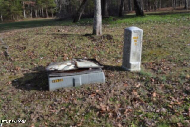 Lot 4 Shotgun Annie Road Jamestown TN 38556