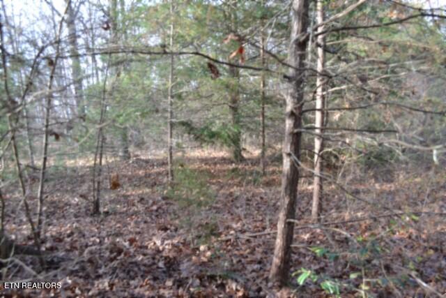 Lot 4 Shotgun Annie Road Jamestown TN 38556