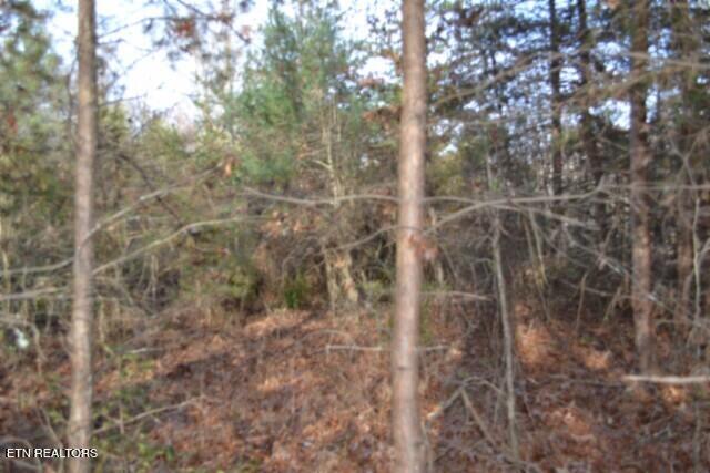 Lot 4 Shotgun Annie Road Jamestown TN 38556